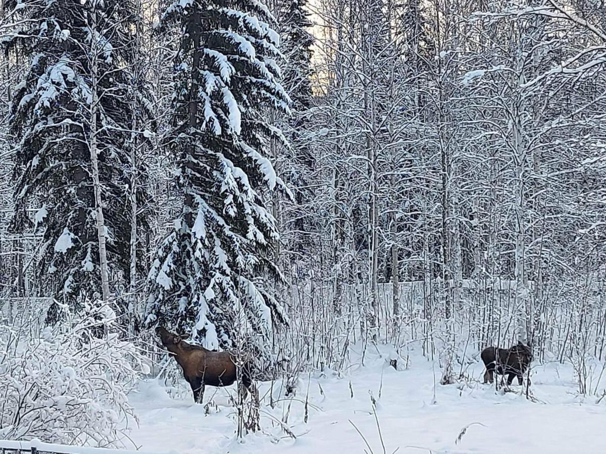 Stevens Refuge Of Goldstream Valley Villa Fairbanks Esterno foto